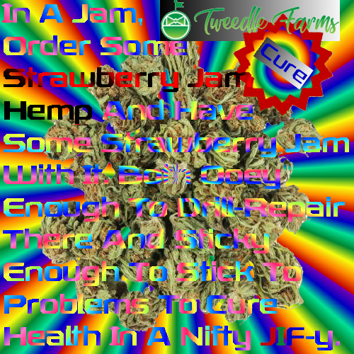 Strawberry Jam Hemp, Strawberry Jam Strain Of Hemp, Tweedle Farm's Strawberry Jam, TweedleFarms.com Strawberry Jam, Cureing Weed